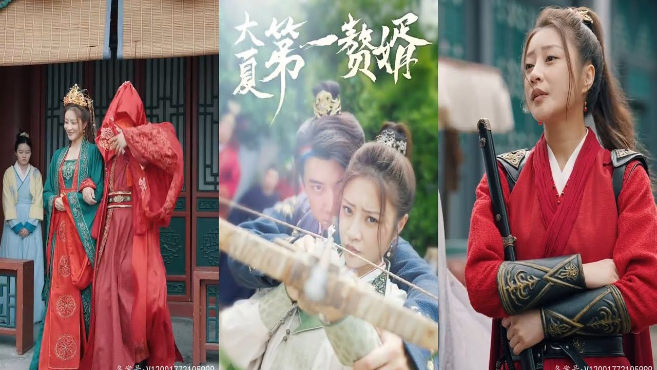 大夏第一赘婿