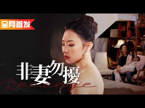 非妻勿扰